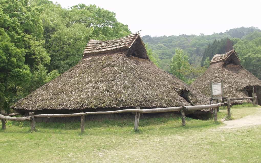 荒神谷 古代復元住居の写真